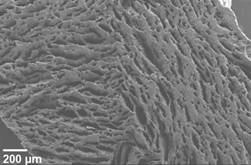 Microstructure.