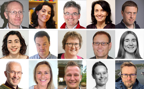 Collage with 15 profile photos of employees