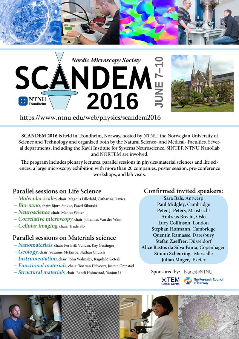 Poster SCANDEM2016 [pdf]