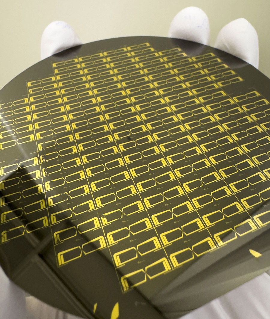 A hand holding a circular plate