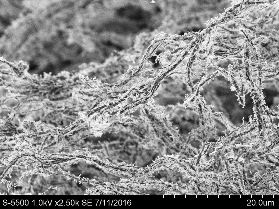 Hydrogel-based material. Magnified photo in black and white