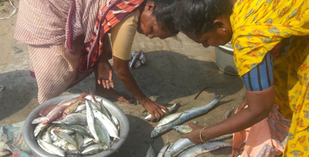 Picture of women working with fish on the beach