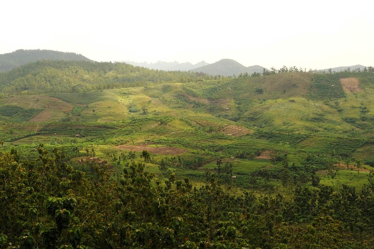 Picture to  Analysing links between land tenure and land conflict and land use change