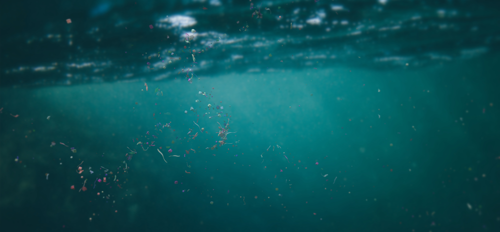 Picture of microplastic in the ocean