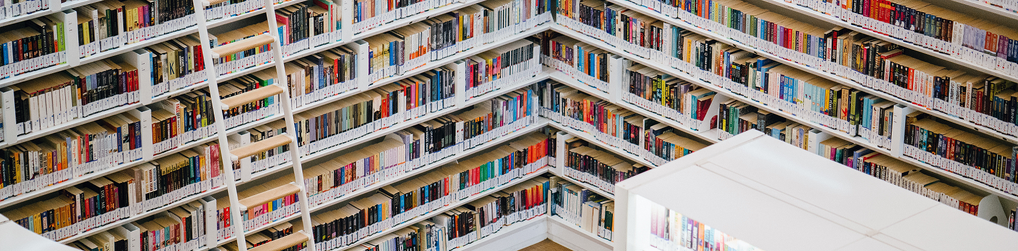 Library shelves. Photo.