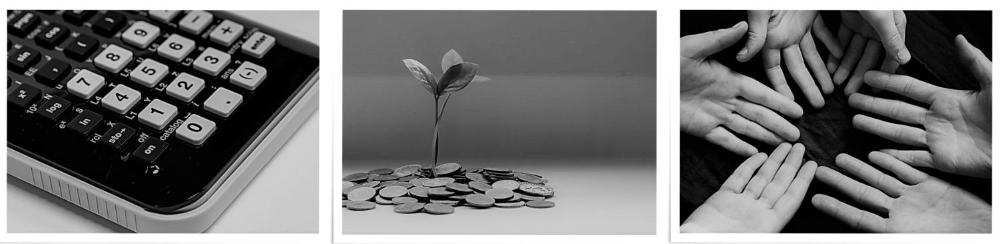 Banner containing calculator, sprout growing in money and six hands facing upwards. Photos.