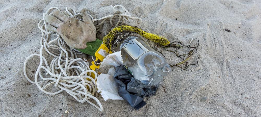 Picture of plastic pollution on a beach