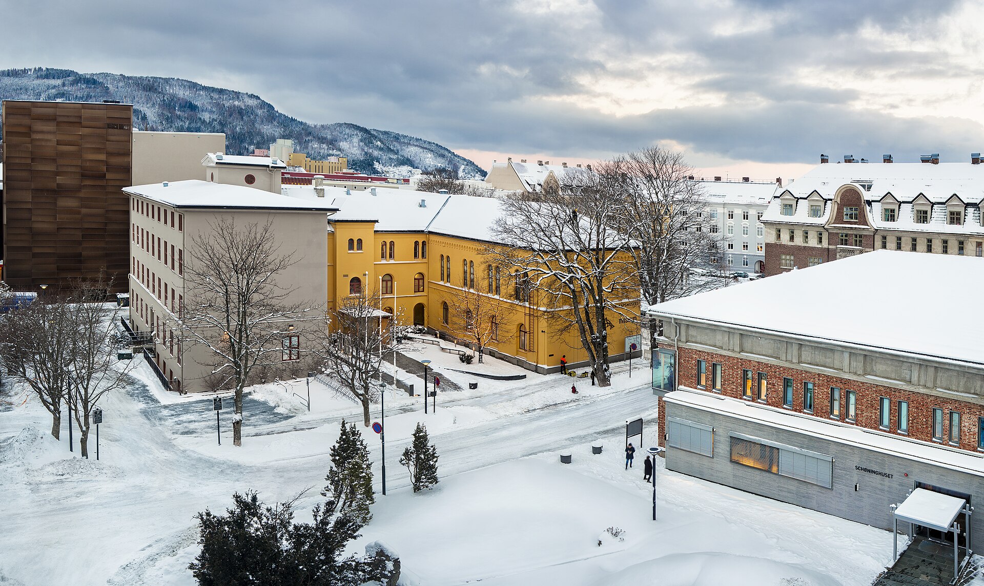 Winter photograph of the NTNU University Museum, photographed by Trond Sverre Kristiansen.