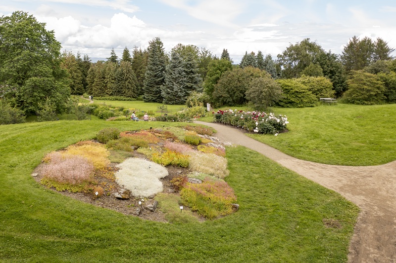 Colorful flower beds on a gentle slope.