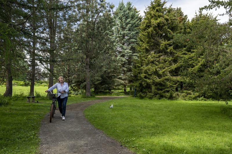 Link to page about the arboretum