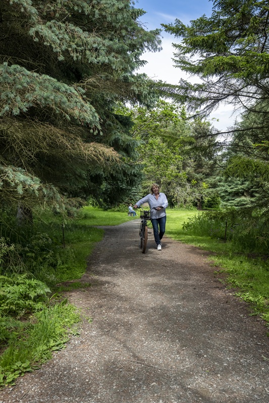 Woman pushing a bicycle along a gravel path with tall trees on either side. Woman seated on a bench in the background.