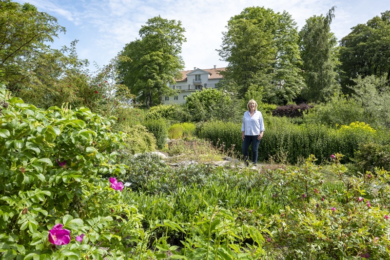 Link to page about the systematic garden