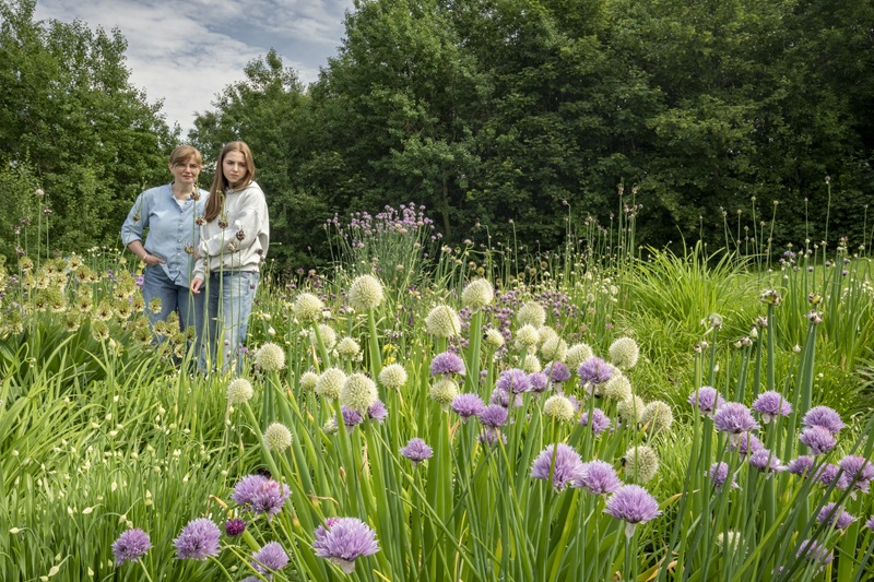 Two women surrounded by flowering Allium in various shades of white and purple.
