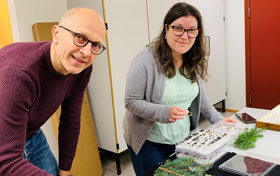 Research and Collections