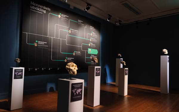 Bilde av plansje og skaller i utstilling