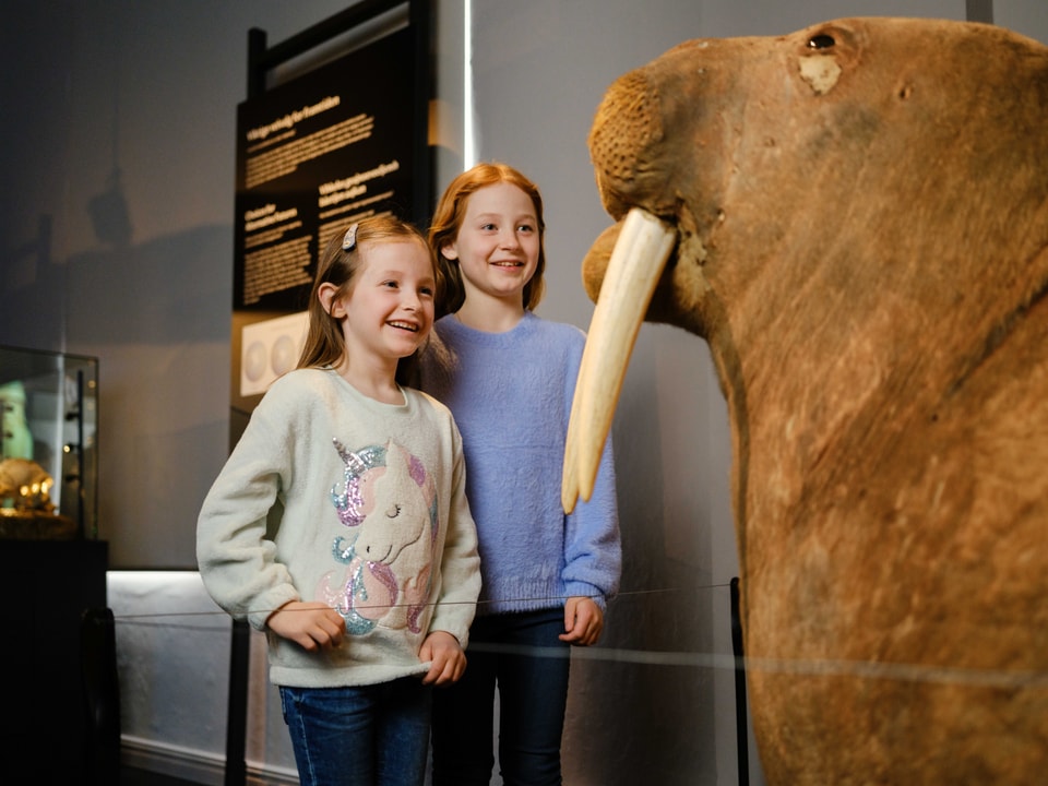 Two girls looking at a stuffed walrus.
