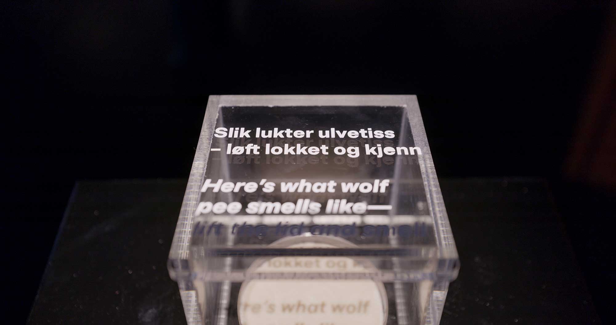 Smell a wolfs urin in the exhibition