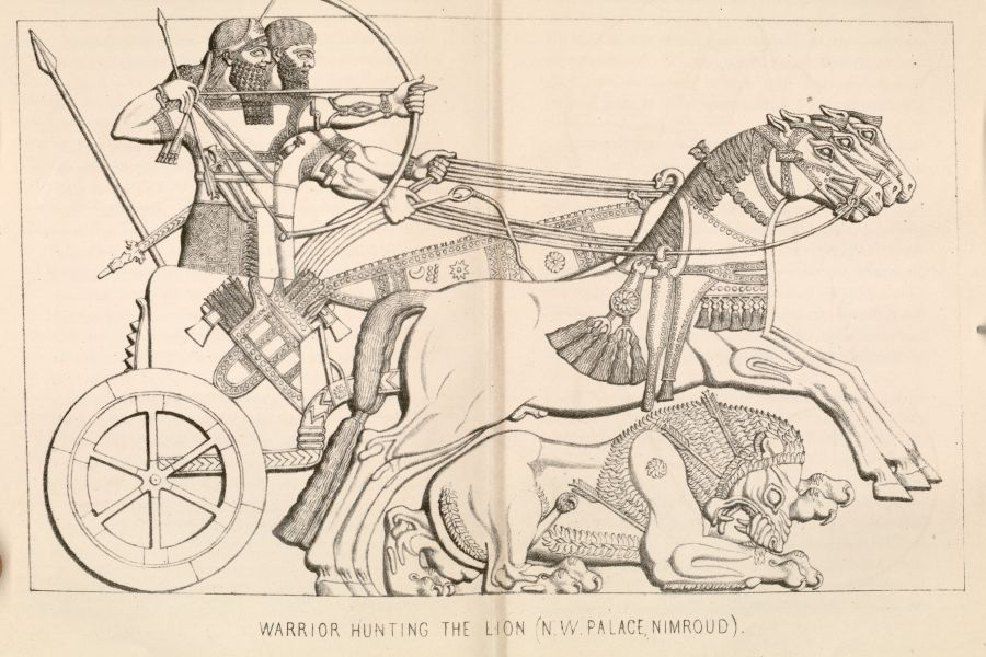 Drawing from the 1850's: assyrian king hunting a lion.