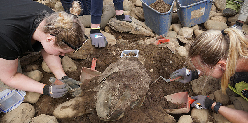 Arkeologistudenter som graver. Foto