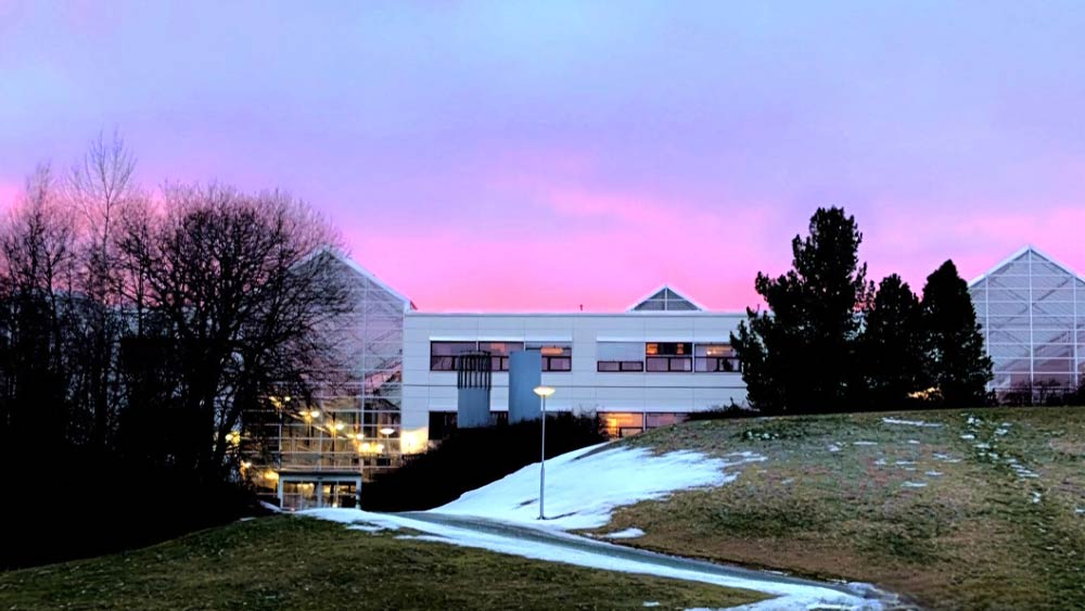 Sunset at Dragvoll campus in Trondheim. Photo.
