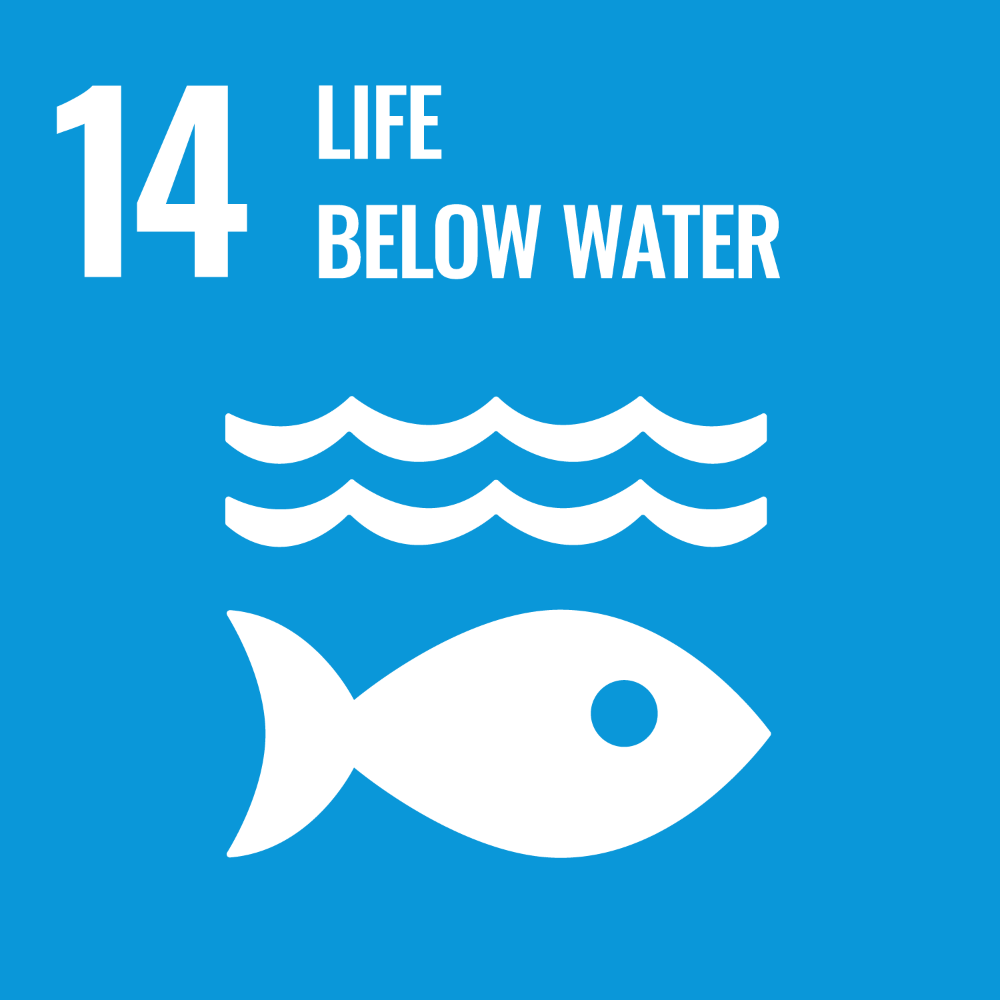 UNs Sustainable Development Goal 14 Life below water. Link to UNs Sustainable development goal number 14