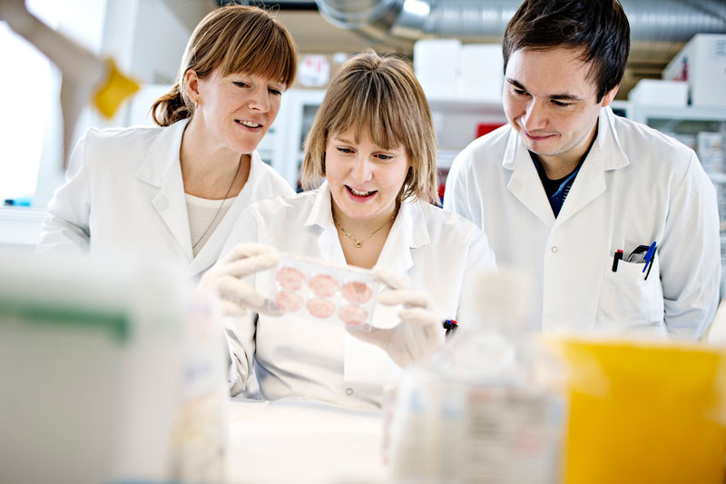 3 researchers working in the myelom lab.