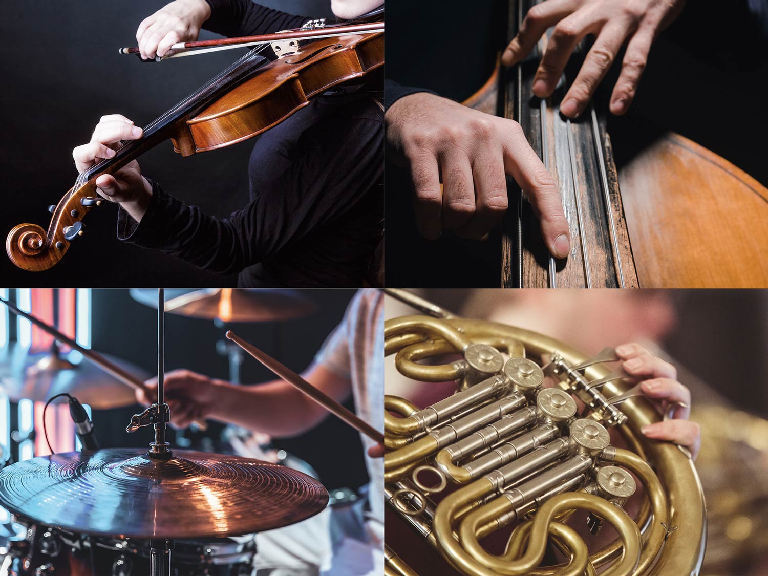 Illustrations photo with violin, bass, drums and french horn
