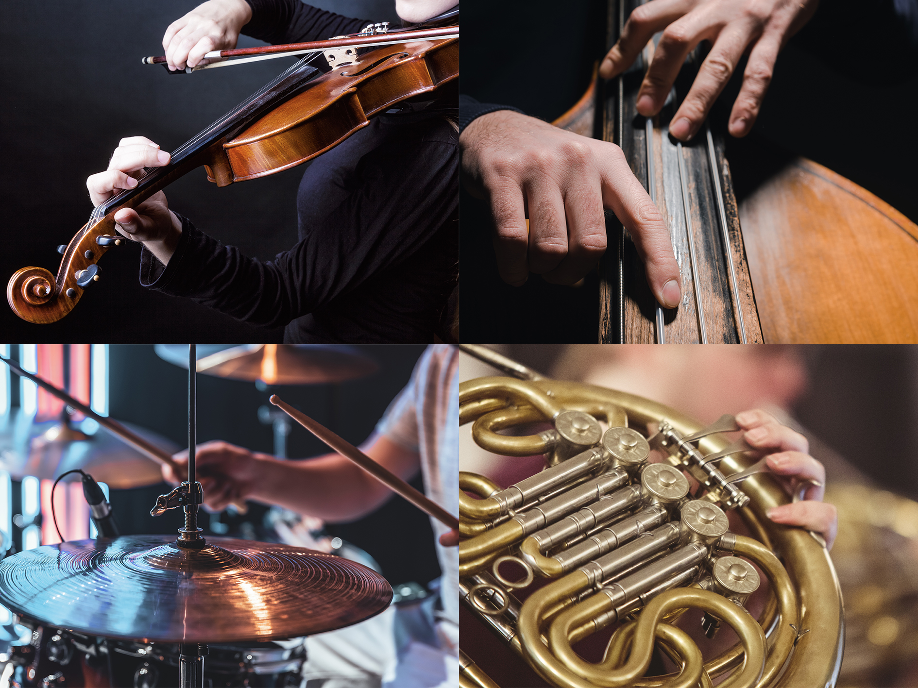 Illustrations photo with violin, bass, drums and french horn