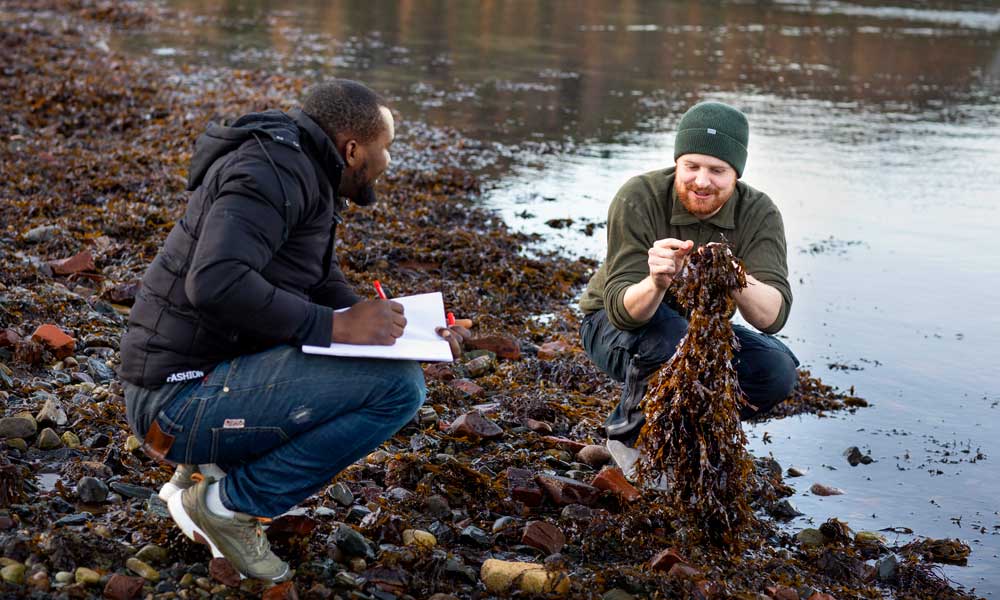 Two guys sit by the shore looking at seaweed and taking notes. Photo.