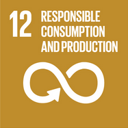 UN Sustainable Goal 12 icon