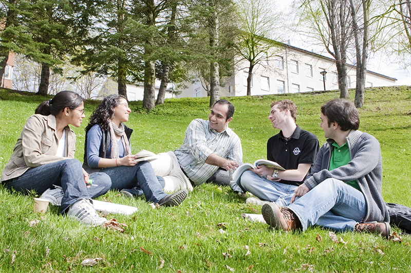 Five students sitting in the park at campus discussing. Photo.