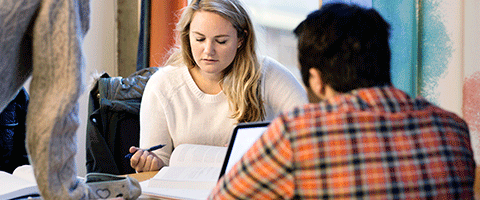 Students working in group. Photo.