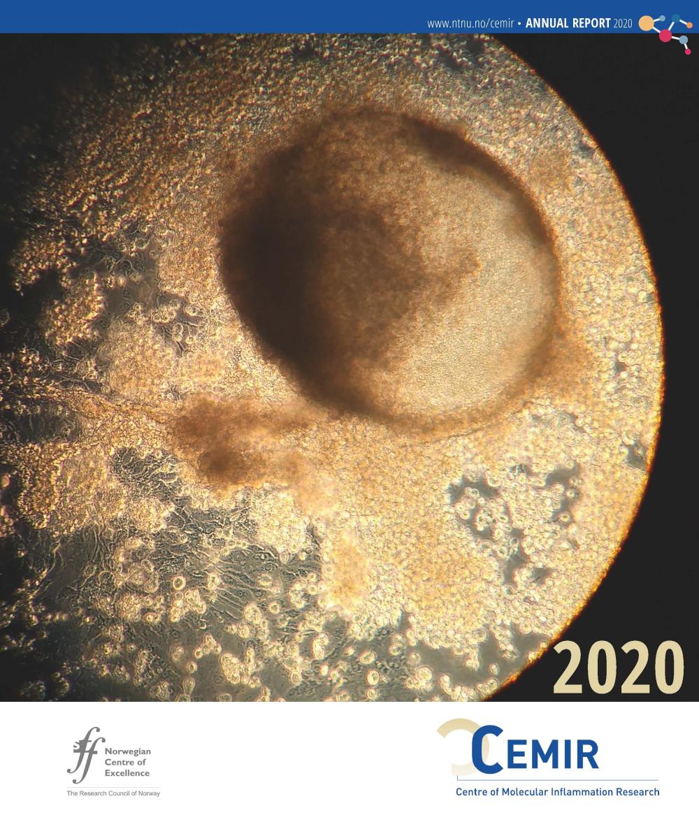 CEMIR Annual Report 2020
