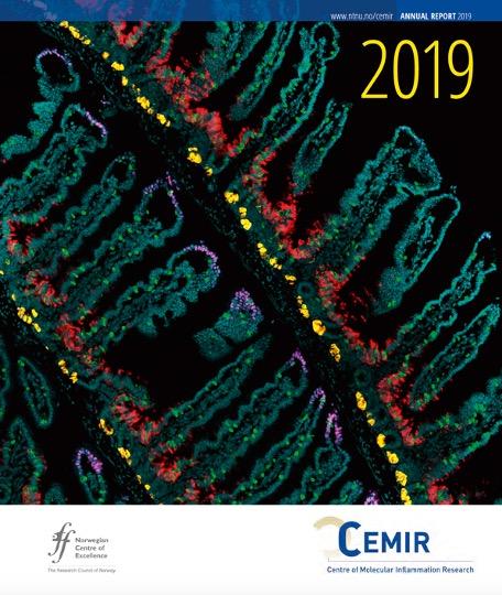 CEMIR Annual Report 2019, front cover