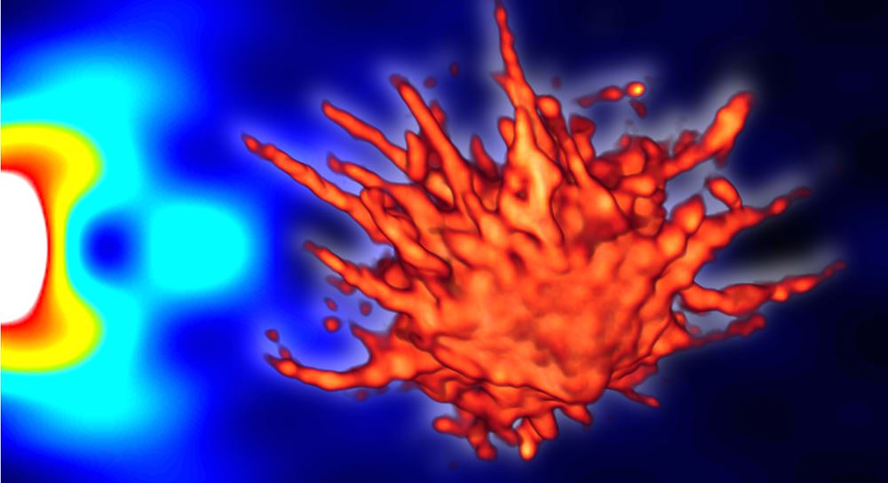3D volumetric representation of a live ASC speck inflammasome, consisting of 31 optical sections acquired on a Confocal Laser Scanning Microscope (CLSM) and deconvolved in Huygens Professional. Photo: Bjørnar Sporsheim / CEMIR