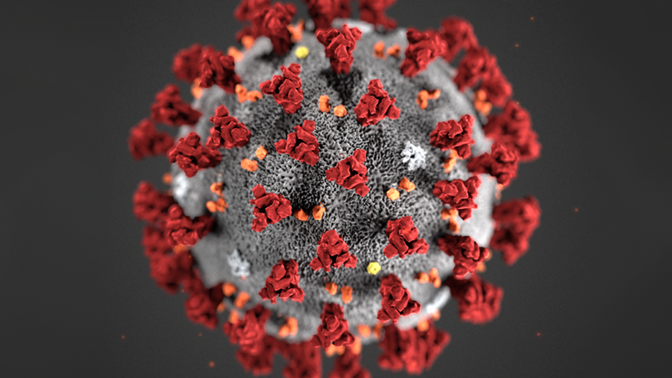 Corona virus close-up illustration