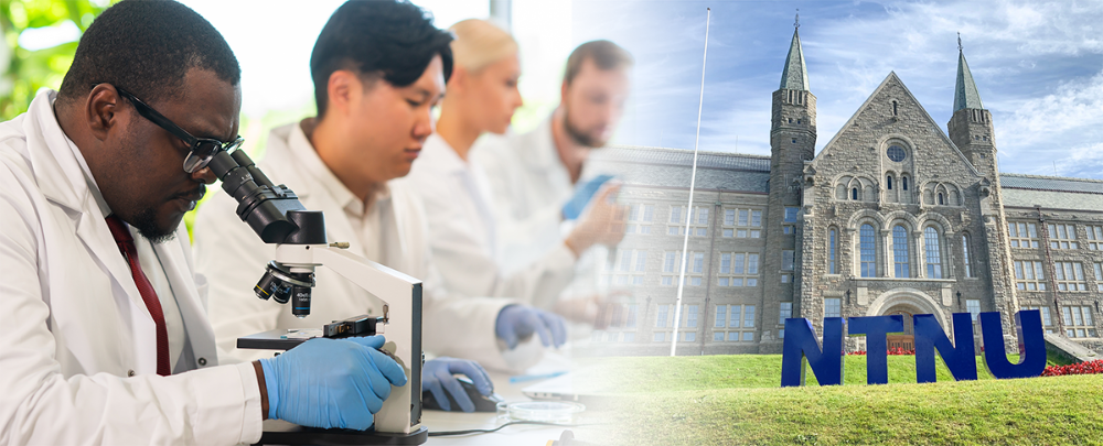 Collage with researchers in the lab and a building with towers.
