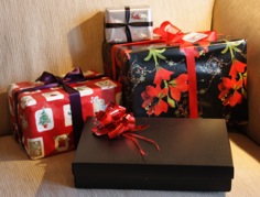 Dina er «pakkesjef». Dina er «pakkesjef».