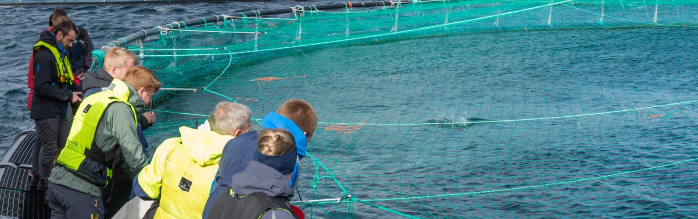Aquaculture illustrated by people by a salmon cage. Photo