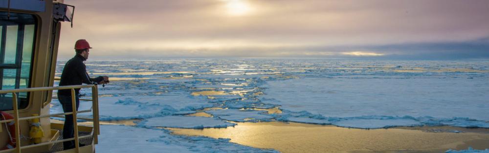 Arctic Marine Environment. Photo