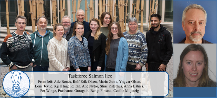 Photo of the Taskforce Salmon Lice-team.