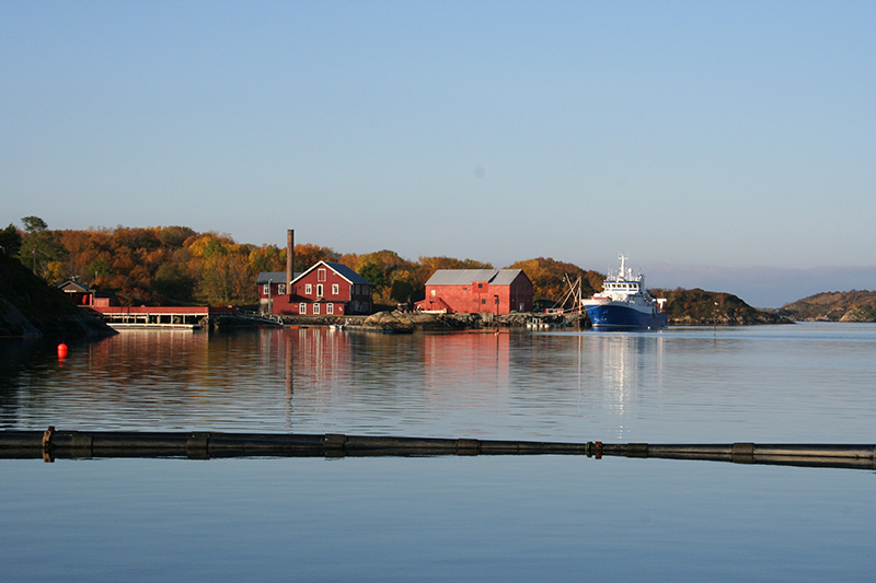 Gunnerus at Hopsjøen Hitra.