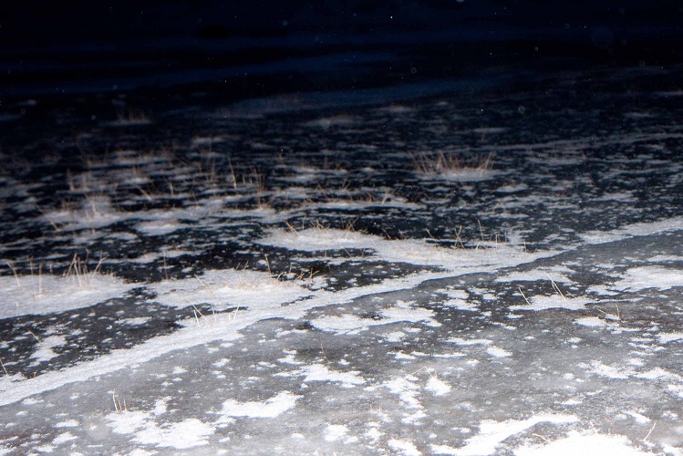 Ising i Adventdalen i februar 2012 (foto Øystein Varpe UNIS)