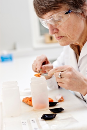 Foto: Geir Mogen /NTNU