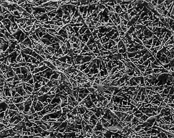 Scanning electron microscope image of nanowires made out of a lithium-oxide garnet ceramic filler,  credit: Rettenwander et al. 