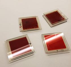 Photo of transperent solar cells taken by David M. Almenningen