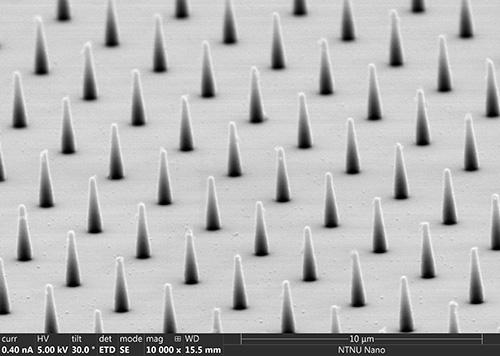 Picture of nano-sized pillars, photo Jakob Vinje / NTNU NanoLab